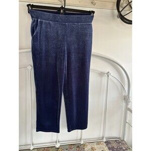 NWT NEW Talbots Blue Velour Dress Pants Travel Pants Comfort Large Petite Purple